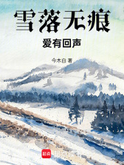 雪落無痕，愛有回聲