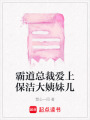 霸道總裁愛上保潔大姨妹兒