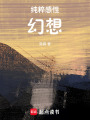純粹感性幻想