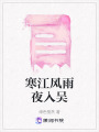 寒江風雨夜入吳
