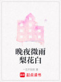 晚夜微雨梨花白