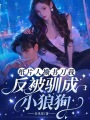 紙片人撕書刀我，反被馴成小狼狗