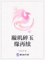 璇璣碎玉緣再續