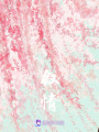 敘情