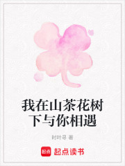 我在山茶花樹下與你相遇