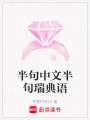 半句中文半句瑞典語
