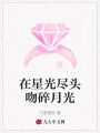 在星光盡頭吻碎月光