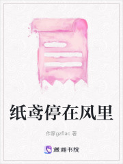 紙鳶停在風(fēng)里