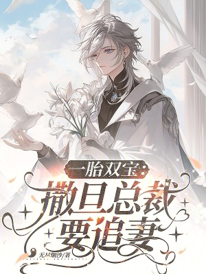 一胎雙寶：撒旦總裁要追妻