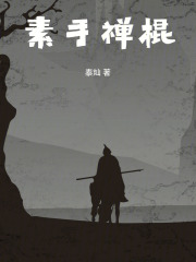 素手禪棍