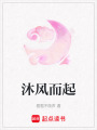 沐風而起
