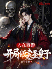 主人公林枫小说人在西游，开局贩卖圣皇子在线无删减阅读