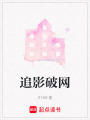 追影破網