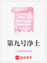 第九號凈土