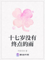 十七歲沒有終點的雨