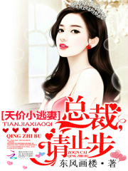 天價小逃妻：總裁，請止步
