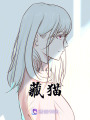 藏貓