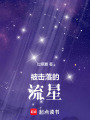 被擊落的流星