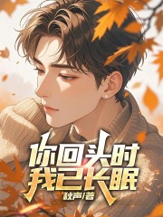 主人公叫宋池川沈南惜的小说哪里免费看-神奇文学