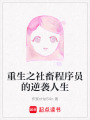 重生之社畜程序員的逆襲人生