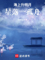 海上升明月，星落一孤舟