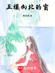 五樓向北的窗