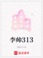 李帥313