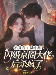 陆玖秦易川（不复合，陆小姐闪婚京圈大佬后杀疯了小说）无弹窗免费试读