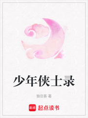 少年俠士錄