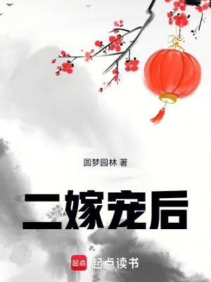 二嫁寵后