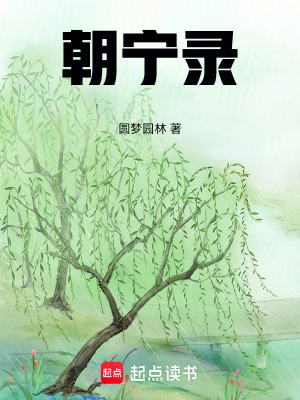朝寧錄