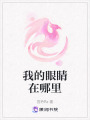 我的眼睛在哪里