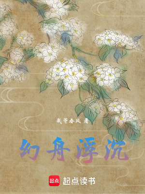 幻舟浮沉