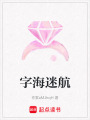 字海迷航