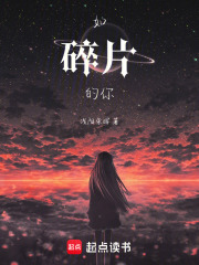 如碎片的你
