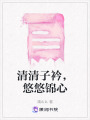 清清子衿，悠悠錦心