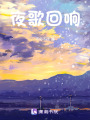 夜歌回響