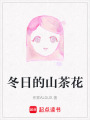 冬日的山茶花