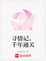 尋情記，千年通關(guān)