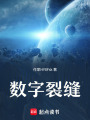 數(shù)字裂縫
