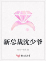 新總裁沈少爺