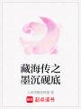 藏海傳之墨沉硯底