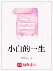 小白的一生