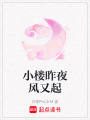 小樓昨夜風又起