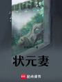 狀元妻