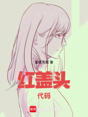 紅蓋頭代碼
