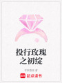 投行玫瑰之初綻