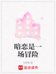 暗戀是一場冒險