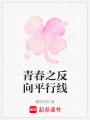青春之反向平行線