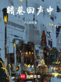 暗巷回聲中